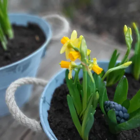 Apartmán Studnice Nove Mesto na Morave