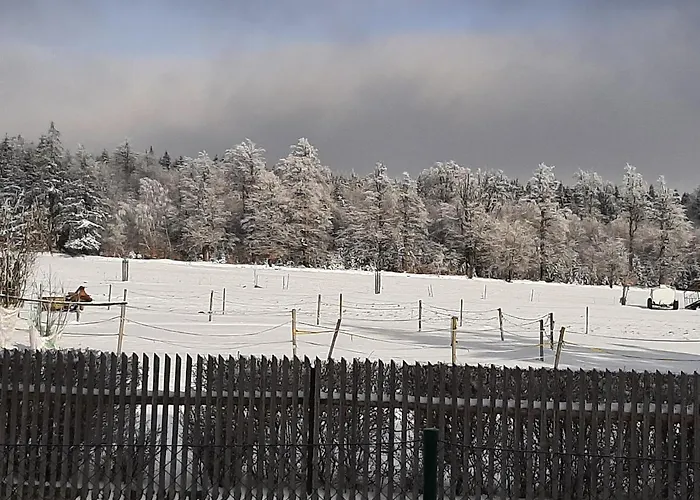 Appartamento Studnice