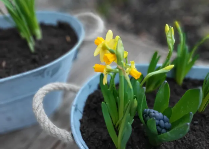 Appartamento Studnice Nove Mesto na Morave